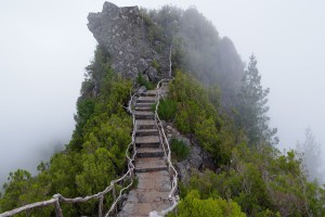 世界田径公开赛：跨栏赛选手表现突破，田径比赛跨栏
